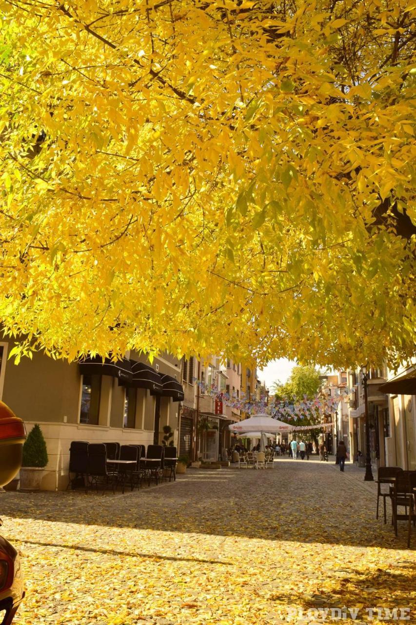 Central Park Studio Plovdiv Ngoại thất bức ảnh